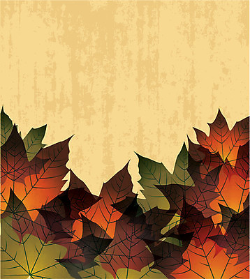 EPS 해외이미지 디자인 계절 실루엣 백그라운드 컨셉 단풍 잎 패턴 오렌지 일러스트 자연 벽지 추상 프레임 미술 미소 야외 목재 그래픽 장식 빨간색 초록색 빛 컬러풀 태양 갈색 노란색 환경 가을 시골 신용카드 숲 9월 유기농 질감 10월 내추럴 고립 그런지 엘리먼트 옛날 국경 해외202004 해외일러스트 자연요소 나무 식물 웰빙 컬러 무늬 과일 재료 문화예술 촬영기법 표정 금융 날짜 생태계 파일형식 벡터