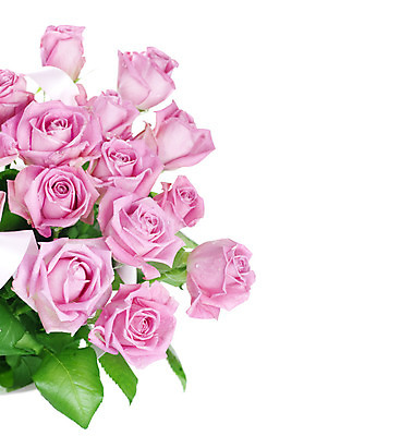 포토 JPG 해외이미지 디자인 꽃잎 꽃 줄기 분홍색 꽃다발 결혼 백그라운드 컨셉 꽃무늬 자연 휴가 발렌타인데이 선물 사랑 사람없음 장미 우주 낭만 벚꽃 흰색 신선 센터 닫기 선택 큼 다발 질감 아로마 S 제비 고립 엘리먼트 스타일 많음 국경 해외202004 해외포토 식물 알파벳 감정 컬러 무늬 모션 데이이벤트 조류 이벤트 크기 생태계 파일형식