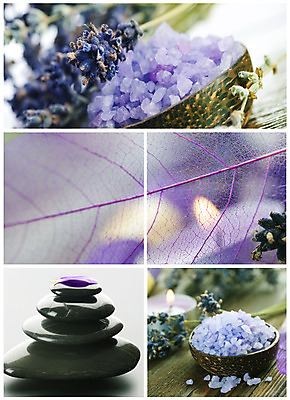 포토 JPG 해외이미지 꽃 잎 휴식 사람없음 세트 갈색 쌓기 스파 목욕 나뭇가지 마사지 다발 수집 향기 아로마 소금 아로마테라피 라벤더 해외202004 해외포토 나무 식물 컬러 컨셉 모션 청결 허브 냄새 테라피 파일형식