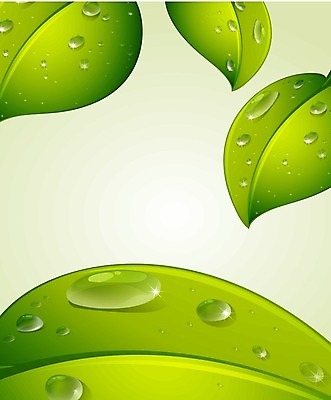 EPS 해외이미지 나무 식물 템플릿 디자인 배너 종이 백그라운드 잎 일러스트 목걸이 텍스트 자연 추상 프레임 미술 장식 물 빛 반짝임 환경 공백 젖음 물방울 신용카드 모서리 가장자리 이슬 수분 사인 그림 질감 리빙 정맥 내추럴 구슬장식 생태학 엘리먼트 스타일 카피스페이스 국경 해외202004 해외일러스트 자연요소 교육 무늬 장신구 모션 문화예술 금융 둘레 구슬 생태계 혈관 파일형식 벡터