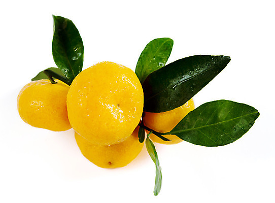 포토 JPG 해외이미지 음식 잎 오렌지 과일 귤 사람없음 초록색 노란색 흰색 신선 원형 그룹 달콤 유기농 숙성 해외202004 해외포토 도형 식물 웰빙 컬러 맛 파일형식