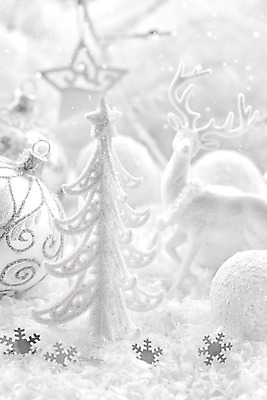 포토 JPG 해외이미지 전통 디자인 계절 행복 별 백그라운드 크리스마스 겨울 공 사슴 새로움 기념 선물 사람없음 장식 빛 축제 장식볼 흰색 축하 원형 눈송이 은색 12월 해외202004 해외포토 자연요소 도형 기념일 감정 컬러 컨셉 포유류 눈_날씨 날짜 파일형식