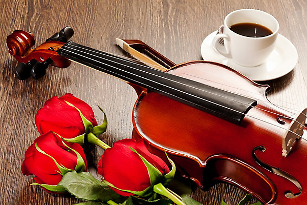 포토 JPG 해외이미지 기념일 꽃 문화 커피 음료 줄 음악 꽃다발 컨셉 꽃무늬 놀이 발렌타인데이 사랑 미술 사람없음 목재 컵 빨간색 장미 검은색 화목 소리 콘서트 공연 낭만 골동품 벚꽃 기구 클래식 심볼 바이올린 복고 아로마 시트 에스프레소 오케스트라 구성 뮤지컬 비올라 실행 카페인 스타일 해외202004 해외포토 나무 식물 식기 감정 컬러 무늬 재료 데이이벤트 현악기 문화예술 이벤트 악단 파일형식 찰현악기