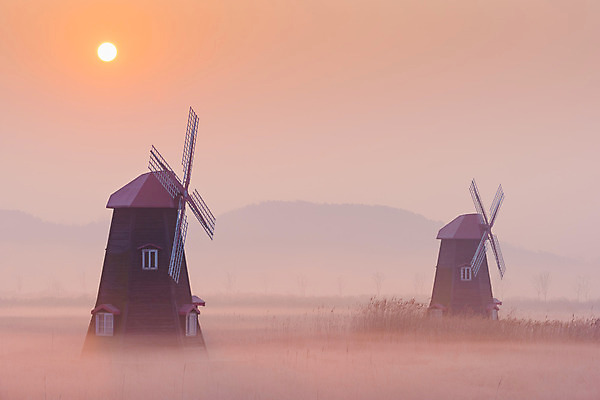 포토 JPG 해외이미지 전통 백그라운드 건축양식 자연 하늘 아침 풍경 사람없음 야외 목재 강 일출 환경 침묵 낭만 풍차 안개 가을 시골 습지 네덜란드 뿌연 해외202004 해외포토 주간 나무 계절 건축 유럽 컨셉 재료 날씨 노을 소리 생태계 파일형식