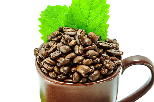 포토 JPG 해외이미지 커피 컨셉 휴식 콩 사람없음 목재 카페 원두 아침식사 굽기 에스프레소 내추럴 블랙커피 양조 옛날 카피스페이스 해외202004 해외포토 나무 음료 재료 곡류 상점 식사 공백 구이 파일형식