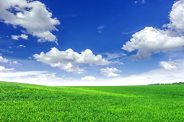 포토 JPG 해외이미지 구름 계절 줄기 밭 농업 채소 자연 하늘 날씨 풍경 잔디 초원 사람없음 초록색 여름 파란색 햇빛 농장 농경지 일출 경작 농사 일몰 봄 수확 성장 시골 저녁 시리얼 밀 언덕 조경 장면 밭일 세련 해외202004 해외포토 자연요소 식물 산업 음식 컬러 곡류 태양 노을 야간 생태계 파일형식