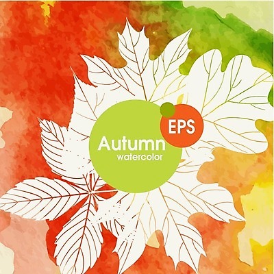 EPS 해외이미지 식물 백그라운드 단풍 잎 일러스트 자연 수채화 사람없음 빨간색 초록색 노란색 가을 기름 밤 해외202004 해외일러스트 계절 음식 컬러 견과류 생태계 파일형식 벡터