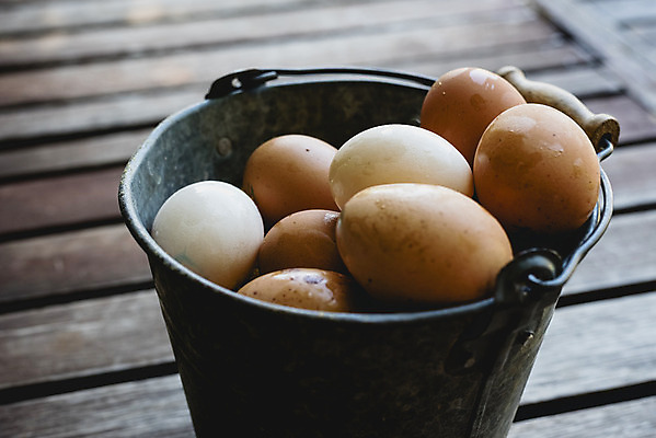 포토 JPG 해외이미지 음식 건강 사람없음 갈색 계란 신선 상품 양동이 유기농 날것 내추럴 해외202004 해외포토 웰빙 컬러 알 파일형식