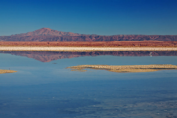 포토 JPG 해외이미지 호수 여행 자연 하늘 산 건조 풍경 사람없음 물 반사 환경 미국 사막 황무지 플랫 고독 크리스탈 플라밍고 화산 소금 지역 멀리 칠레 남쪽 석호 웅장함 해외202004 해외포토 자연요소 감정 북아메리카 조류 남아메리카 광석 방향 생태계 파일형식