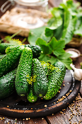 포토 JPG 해외이미지 음식 백그라운드 채소 재료 탁자 오이 건강 마늘 사람없음 목재 초록색 수확 시골 신선 항아리 맛 보호 향신료 유기농 날것 피클 소금 통조림 딜 절임 짠맛 핸드메이드 바삭바삭 맛있는 해외202004 해외포토 나무 웰빙 컬러 가구 컨셉 농업 도자기 향미료 파일형식