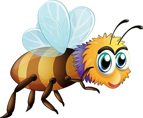 EPS 해외이미지 클립아트 곤충 백그라운드 날개 일러스트 안테나 그래픽 머리 흰색 꿀벌 말벌 흉부 만화 벌 그림 고립 왁스 호박벌 복부 해외202004 해외일러스트 동물 컬러 통신 신체부위 호흡기관 벌_곤충 파일형식 벡터