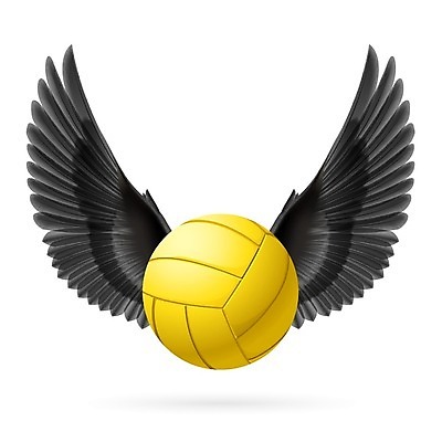 EPS 해외이미지 디자인 스포츠 컨셉 날개 일러스트 공 놀이 조류 성공 건강 취미 컵 노란색 검은색 경쟁 장비 에너지 게임 우승 배구 트로피 심볼 깃털 속도 열정 까마귀 대회 승자 여의주 인기 챔피언 필승 현실 해외202004 해외일러스트 동물 식기 감정 컬러 구기 최고 상_우승 파일형식 벡터