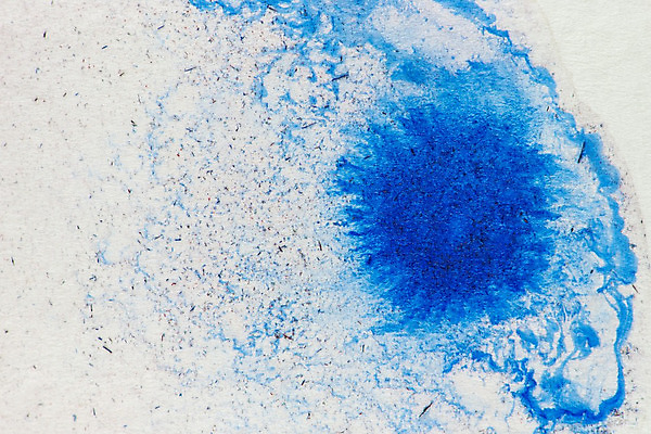 포토 JPG 해외이미지 아이콘 손 디자인 배너 꽃잎 꽃 실루엣 종이 백그라운드 잎 꽃무늬 패턴 일러스트 자연 벽지 하늘 추상 수채화 잉크 미술 사람없음 장식 물 여름 파란색 봄 낭만 수확 신용카드 그리기 떨어짐 빨래 그림 질감 복고 숯 내추럴 고립 그런지 파스텔톤 국경 해외202004 해외포토 자연요소 식물 계절 컬러 컨셉 가사 무늬 농업 모션 문화예술 촬영기법 신체부위 금융 생태계 파일형식