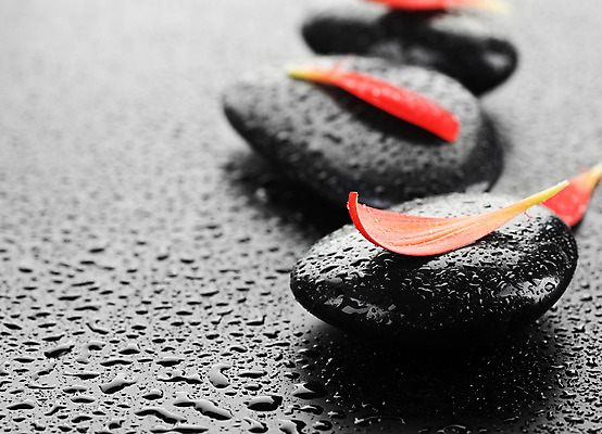 포토 JPG 해외이미지 꽃잎 꽃 백그라운드 컨셉 사람없음 빨간색 물 쌓기 검은색 스파 젖음 조약돌 물방울 마사지 해외202004 해외포토 자연요소 식물 컬러 모션 돌_바위 파일형식