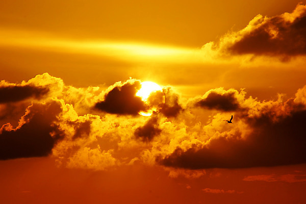 포토 JPG 해외이미지 구름 무료이미지 백그라운드 자연 하늘 풍경 사람없음 빛 햇빛 태양 일출 주황색 황혼 일몰 내추럴 해외202004 해외포토 자연요소 컬러 노을 생태계 파일형식 무료콘텐츠