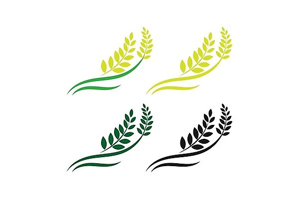 EPS 해외이미지 식물 음식 빵 백그라운드 밭 농업 일러스트 자연 밥 건강 옥수수 씨앗 농작물 농장 라벨 수확 황금 낟알 시리얼 밀 유기농 보리 귀 내추럴 호밀 귀리 해외202004 해외일러스트 웰빙 산업 곡류 프레임 신체부위 생태계 파일형식 벡터