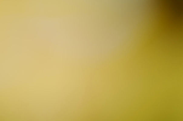 포토 JPG 해외이미지 템플릿 디자인 백그라운드 컨셉 패턴 일러스트 벽지 추상 미술 사람없음 그래픽 장식 빛 디지털 블러 스펙트럼 엘리먼트 해외202004 해외포토 무늬 문화예술 파일형식