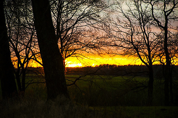 포토 JPG 해외이미지 실루엣 바다 여행 백그라운드 태국 자연 하늘 풍경 사람없음 야외 빨간색 빛 햇빛 태양 노란색 일출 황혼 일몰 휴양지 이국적 수평선 해외202004 해외포토 자연요소 아시아 컬러 촬영기법 노을 장소 생태계 파일형식
