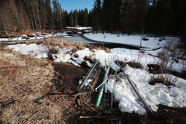 포토 JPG 해외이미지 계절 호수 겨울 자연 하늘 풍경 사람없음 물 파란색 강 냉동 얼음 추위 흰색 숲 시원함 서리 장면 1월 해외202004 해외포토 자연요소 컬러 날짜 생태계 파일형식