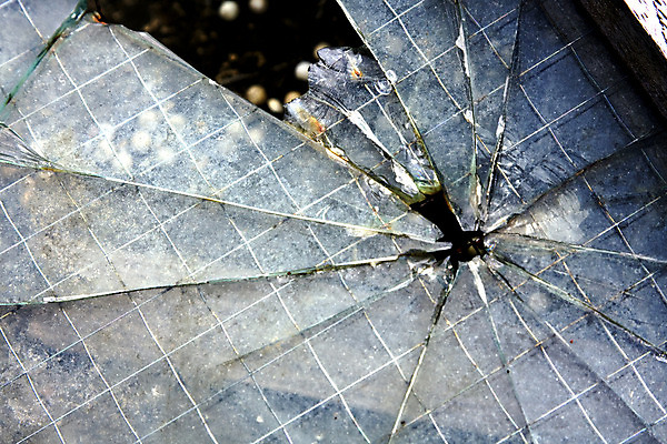 포토 JPG 해외이미지 부분 창문 유리 사람없음 파란색 줄무늬 손상 구멍 균열 사건 질감 날카로움 총알 찌그러짐 골절 깨짐 단절 해외202004 해외포토 무기 컬러 컨셉 무늬 의학 모션 재질 파일형식