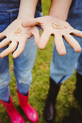 포토 JPG 해외이미지 식물 백인 여자 남자 함께함 씨앗 서기 20대 성인 취미 야외 두명 농장 정원 낟알 원예 정원가꾸기 보여주기 심기 성인만 해외202004 해외포토 서양인 컨셉 농업 모션 사람 청년 파일형식