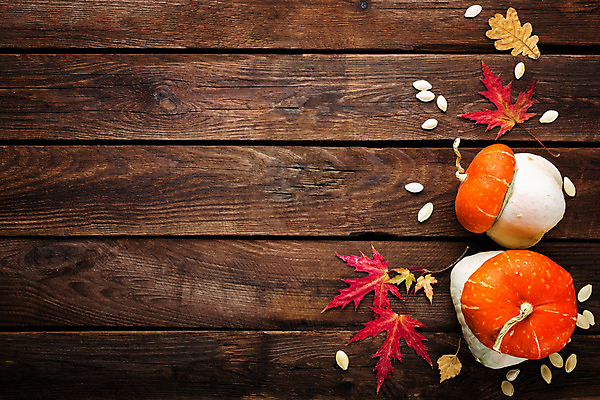 포토 JPG 해외이미지 전통 계절 행복 음식 백그라운드 잎 농업 채소 오렌지 자연 벽지 탁자 호박 휴가 사람없음 목재 장식 빨간색 농장 노란색 우주 주방 식사 어둠 할로윈 수확 가을 시골 축하 인사 신선 신용카드 황금 정상 작음 심볼 박 추수감사절 스쿼시 옛날 채식주의자 해외202004 해외포토 나무 식물 감정 산업 기독교 스포츠 컬러 가구 컨셉 과일 재료 금융 구기 예절 크기 생태계 채식 파일형식