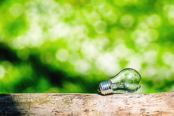 포토 JPG 해외이미지 식물 디자인 지구 백그라운드 컨셉 전구 자연 유리 미래 아이디어 사람없음 초록색 빛 글로벌 태양 환경 힘 재활용 행성 에너지 성장 흰색 램프 보호 심볼 에코 생태계 자원 해결 유지 내추럴 혁명 광 발명 생태학 효율 해외202004 우호적 해외포토 자연요소 교육 컬러 재질 조명 우주 친환경 파일형식