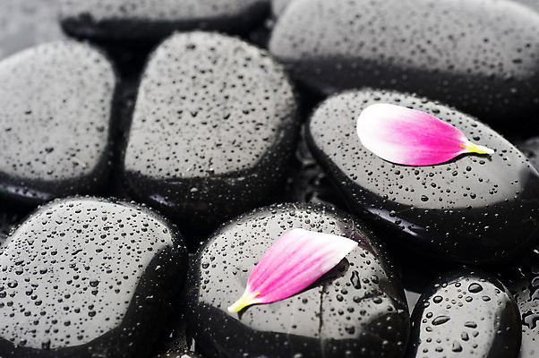 포토 JPG 해외이미지 꽃잎 꽃 백그라운드 컨셉 사람없음 물 쌓기 검은색 스파 젖음 조약돌 물방울 해외202004 해외포토 자연요소 식물 컬러 모션 돌_바위 파일형식