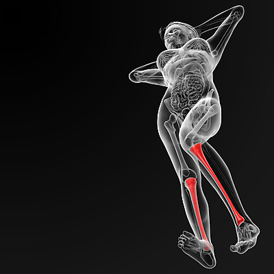 포토 JPG 해외이미지 남자 과학 일러스트 부분 뼈 골격 엑스레이 건강 사람 사람없음 빨간색 파란색 3D 검은색 해외202004 해외포토 컬러 의학 디지털합성 파일형식