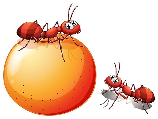 EPS 해외이미지 클립아트 음식 곤충 백그라운드 과일 일러스트 감자 그래픽 농작물 튀김 수확 흰색 원형 달콤 해충 벌레 만화 그림 롤 기어가기 고립 녹말 식용 탄수화물 해외202004 해외일러스트 도형 동물 컬러 농업 채소 모션 맛 파일형식 벡터