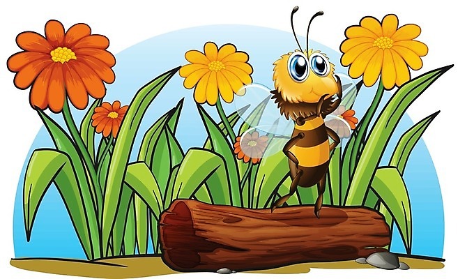 EPS 해외이미지 클립아트 식물 꽃잎 꽃 곤충 백그라운드 오렌지 일러스트 잔디 목재 그래픽 초록색 갈색 노란색 정원 회색 바위 흰색 꿀벌 말벌 작음 만화 벌 그림 통나무 꿀 고립 호박벌 해외202004 해외일러스트 나무 동물 컬러 과일 재료 돌_바위 벌_곤충 크기 파일형식 벡터