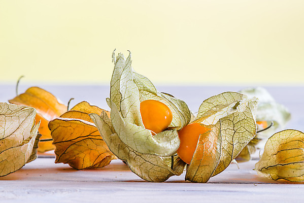 포토 JPG 해외이미지 식물 계절 열매 음식 백그라운드 다이어트 오렌지 과일 자연 탁자 표면 디저트 실내 건강 요리 사람없음 목재 노란색 중국 껍질 가을 등불 신선 원형 체리 황금 달콤 맛 작음 망토 책상 유기농 비타민 거인 내추럴 고립 구스베리 땅바닥 숙성 이국적 페루 맛있는 해외202004 해외포토 도형 나무 웰빙 아시아 컬러 가구 컨셉 재료 조명 바닥 내부 남아메리카 크기 생태계 영양소 파일형식