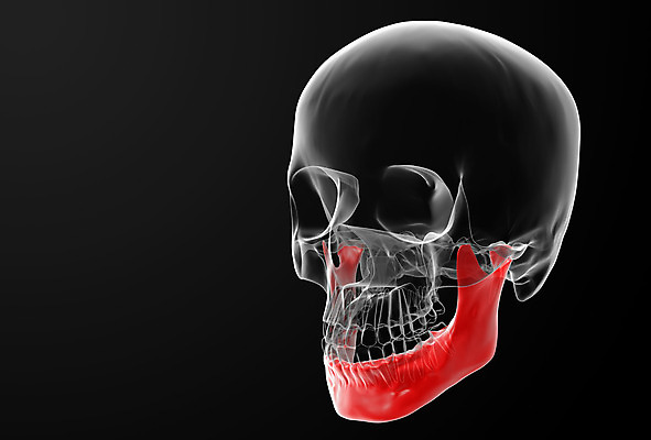 포토 JPG 해외이미지 모양 모델 교육 과학 백그라운드 신체 부분 해부 추상 뼈 골격 건강 미술 사람 사람없음 약 머리 3D 검은색 흰색 죽음 치아 심볼 오브젝트 사인 생물학 턱 고립 옛날 해골모형 해외202004 해외포토 컬러 무늬 의학 문화예술 신체부위 모형 소화기관 디지털합성 파일형식