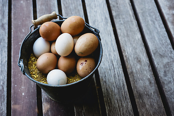 포토 JPG 해외이미지 음식 건강 사람없음 갈색 계란 신선 상품 양동이 유기농 날것 내추럴 해외202004 해외포토 웰빙 컬러 알 파일형식