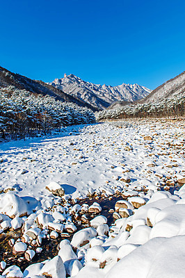 포토 JPG 해외이미지 나무 백그라운드 겨울 자연 하늘 산 서울 한국 풍경 사람없음 단어 태양 맑음 추위 언덕 눈내림 해외202004 해외포토 자연요소 식물 문자 계절 아시아 날씨 눈_날씨 생태계 파일형식