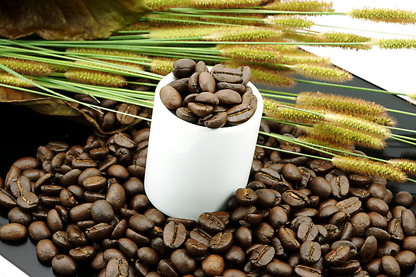 포토 JPG 해외이미지 커피 음료 음식 백그라운드 패턴 농업 재료 추상 콩 프레임 씨앗 사람없음 가로 갈색 우주 검은색 어둠 흰색 신선 그룹 맛 매끈함 큼 굽기 가득함 오브젝트 질감 향기 흙더미 모카 해외202004 해외포토 식물 산업 컬러 컨셉 무늬 곡류 흙 감각 크기 구이 냄새 파일형식 더미