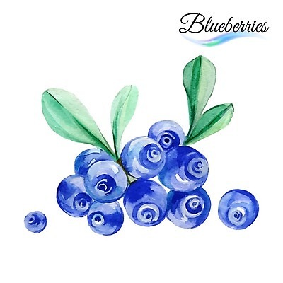 EPS 해외이미지 디자인 열매 음식 백그라운드 잎 과일 일러스트 수채화 미술 사람없음 장식 파란색 달콤 그림 유기농 블루베리 비타민 내추럴 맛있는 해외202004 해외일러스트 식물 웰빙 컬러 문화예술 맛 영양소 파일형식 벡터