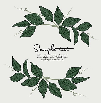 EPS 해외이미지 모양 나무 식물 템플릿 디자인 결혼 백그라운드 컨셉 잎 꽃무늬 패턴 일러스트 자연 프레임 미술 그래픽 장식 초록색 환경 정원 봄 낭만 나뭇가지 신선 신용카드 우아함 인쇄 허브 심볼 사인 에코 유기농 초대 손그림 내추럴 고립 생태학 엘리먼트 그리너리 해외202004 해외일러스트 웰빙 계절 교육 꽃 컬러 무늬 문화예술 이벤트 금융 생태계 파일형식 벡터 트랜드컬러