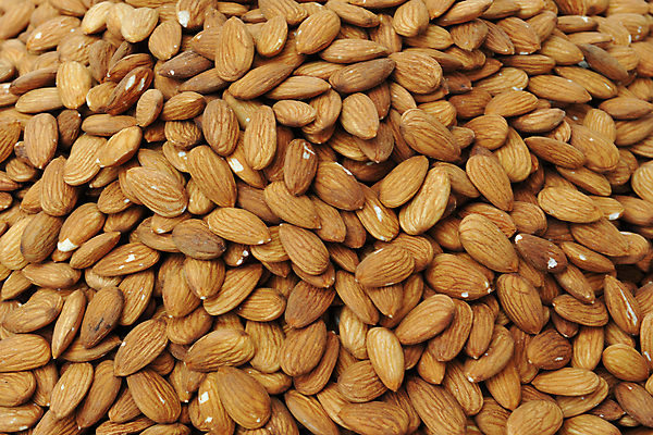 포토 JPG 해외이미지 음식 과일 재료 건조 씨앗 사람없음 갈색 시장 닫기 날것 아몬드 맛있는 해외202004 해외포토 식물 컬러 모션 견과류 파일형식