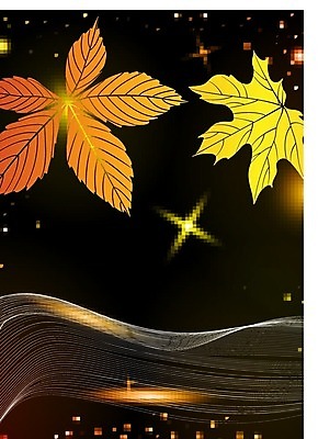 EPS 해외이미지 디자인 배너 계절 포스터 백그라운드 단풍 잎 오렌지 일러스트 자연 벽지 추상 장식 빛 노란색 세일 우주 디지털 검은색 웹 공백 견과류 소용돌이 가을 신용카드 황금 밤 야간 9월 질감 네온 공상 빛망울 10월 광 무한 미루나무 스타일 해외202004 해외일러스트 자연요소 나무 식물 컬러 무늬 인터넷 과일 금융 회오리 날짜 생태계 파일형식 벡터