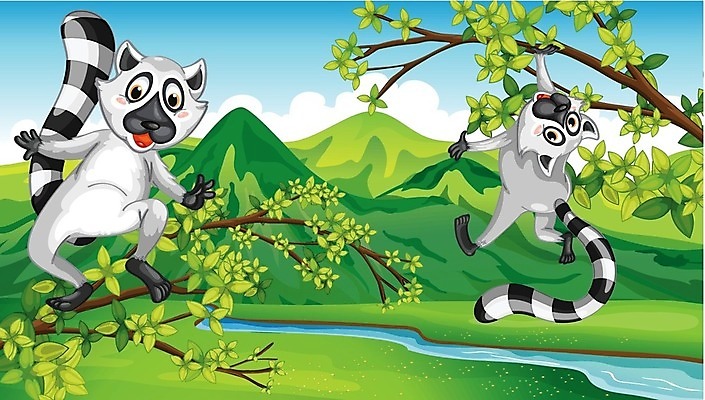 EPS 해외이미지 식물 동물 구름 줄기 잎 2 일러스트 자연 놀이 하늘 산 매달리기 그래픽 물 반려동물 컬러풀 개울 숲 만화 언덕 그림 꼬리 자원 마다가스카르 여우원숭이 해외202004 해외일러스트 자연요소 컬러 모션 강 원숭이 생태계 파일형식 벡터