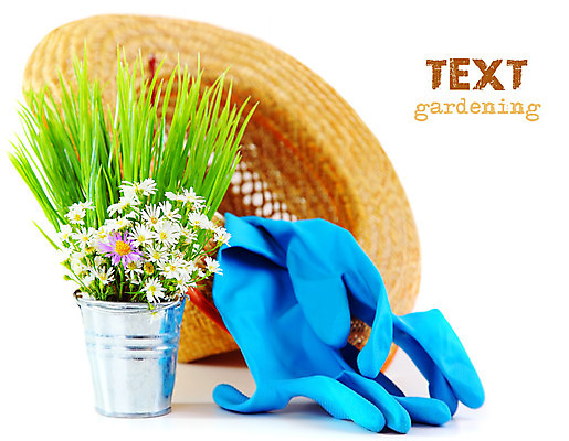 포토 JPG 해외이미지 식물 계절 꽃 화분 꽃다발 장갑 백그라운드 컨셉 농업 텍스트 자연 추상 사람없음 초록색 파란색 농장 우주 환경 정원 봄 장비 성장 흰색 도구 공구 신선 업무 냄비 허브 양동이 오브젝트 원예 데이지 밀짚 고립 심기 항목 해외202004 해외포토 잡화 산업 컬러 무늬 모션 취미 작업 짚 솥 생태계 파일형식