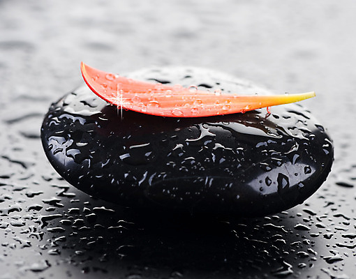 포토 JPG 해외이미지 꽃잎 꽃 백그라운드 컨셉 사람없음 빨간색 물 쌓기 검은색 스파 젖음 조약돌 마사지 매끈함 테라피 해외202004 해외포토 자연요소 식물 컬러 모션 뷰티 돌_바위 감각 파일형식