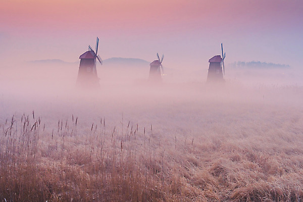 포토 JPG 해외이미지 전통 백그라운드 건축양식 자연 하늘 아침 풍경 사람없음 야외 목재 강 일출 환경 침묵 낭만 풍차 안개 가을 시골 습지 네덜란드 뿌연 해외202004 해외포토 주간 나무 계절 건축 유럽 컨셉 재료 날씨 노을 소리 생태계 파일형식