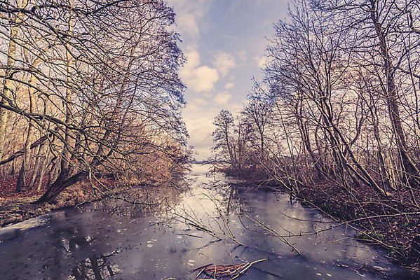 포토 JPG 해외이미지 나무 계절 공원 호수 백그라운드 겨울 자연 아침 날씨 휴가 덴마크 풍경 사람없음 야외 물 파란색 강 반사 냉동 얼음 침묵 추위 흰색 나뭇가지 신선 숲 12월 서리 장면 온도 1월 내추럴 스칸디나비아 해외202004 해외포토 주간 자연요소 식물 공공시설 컬러 북유럽 소리 날짜 생태계 파일형식