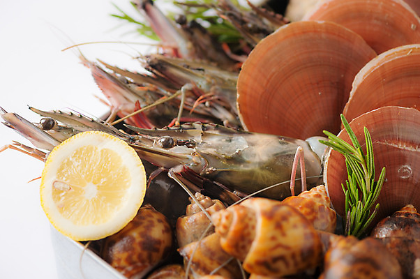 포토 JPG 해외이미지 음식 바다 백그라운드 재료 태국 조개 새우 건강 종류 육류 요리 사람없음 주방 식당 식사 굴 신선 만 시장 맛 레몬 해산물 메뉴 준비 날것 가리비 단백질 생식 오메가 많음 맛있는 해외202004 해외포토 아시아 컨셉 과일 식재료 어패류 갑각류 상점 영양소 파일형식