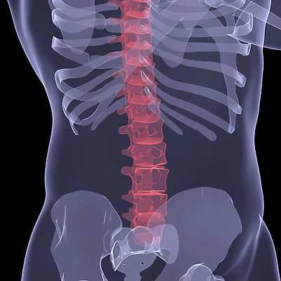 포토 JPG 해외이미지 신체 일러스트 뼈 골격 엑스레이 건강 사람없음 그래픽 3D 고통 척추 관절염 몸통 동맥 요통 해골모형 해외202004 해외포토 감정 의학 신체부위 모형 질병 디지털합성 혈관 허리통증 파일형식