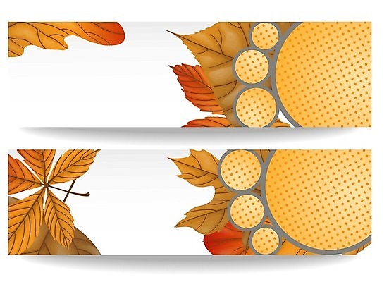 EPS 해외이미지 템플릿 디자인 배너 계절 백그라운드 단풍 스티커 잎 오렌지 일러스트 비즈니스 자연 추상 그래픽 세트 노란색 유행 꼬리표 라벨 세일 상점 공백 방 가을 퍼센트 시장 떨어짐 가격 9월 심볼 에코 쿠폰 상업 승진 10월 마케팅 엘리먼트 스타일 레터헤드 해외202004 해외일러스트 식물 컬러 컨셉 무늬 과일 프레임 환경 날짜 특수기호 생태계 파일형식 벡터