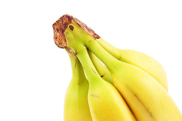 포토 JPG 해외이미지 음식 조각 컨셉 농업 과일 자연 바나나 실내 식이요법 사람없음 주방 신선 흰배경 유기농 영양 고립 바이오 해외202004 해외포토 웰빙 산업 백그라운드 건강 내부 흰색 생태계 파일형식