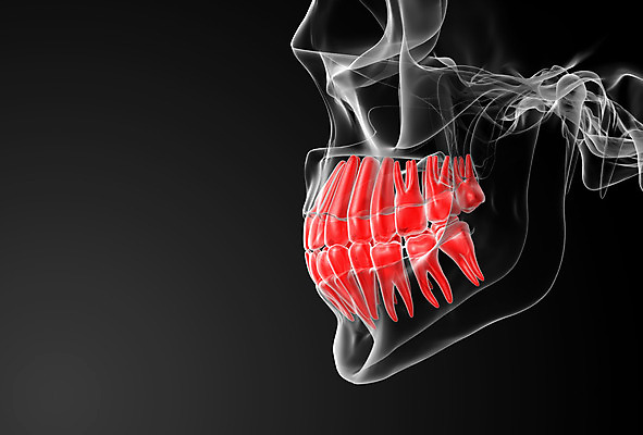 포토 JPG 해외이미지 여자 신체 해부 엑스레이 사람 성인 사람없음 약 검은색 입 수술 치아 위험 플라스틱 암 외과 턱 돌봄 해외202004 해외포토 컬러 컨셉 의학 모션 재질 병원 신체부위 치료 소화기관 질병 파일형식